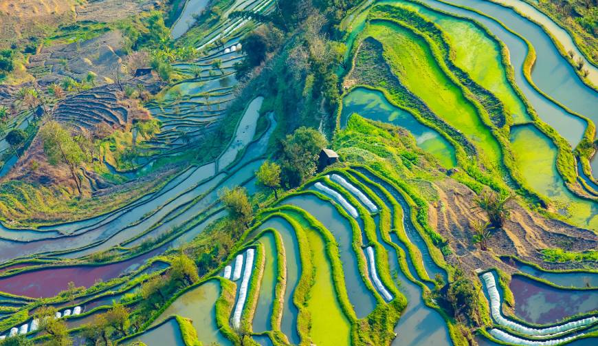 走进城区TVC拍摄：解锁本地化场景与创意镜头的完美融合